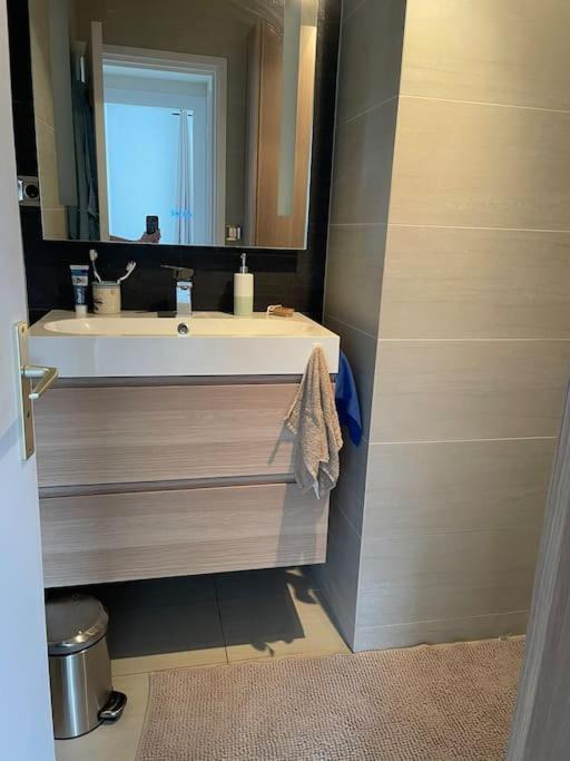 Appartement A 150M Du Lac- Plage De L'Imperial Анси Экстерьер фото